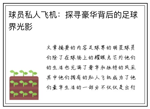 球员私人飞机：探寻豪华背后的足球界光影